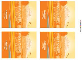 Offset Iron On Transfer Stickers