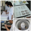 EVA & PE Heat Transfer Printing 