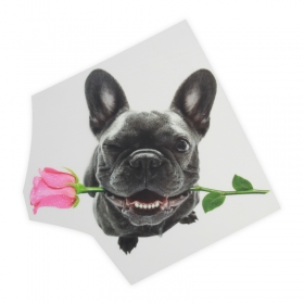 Wholesale custom high quality designs transfer sticker plastisol heat transfers printing for t shirts by Transfertagfactory
